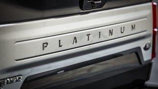 Ford Platinum Tailgate Letters - Gunmetal