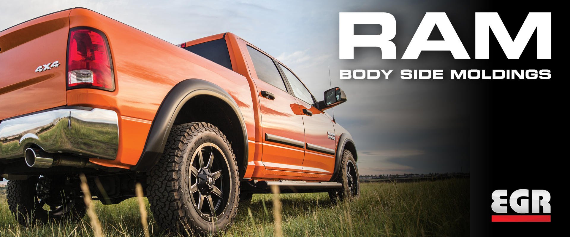 EGR Body Side Molding