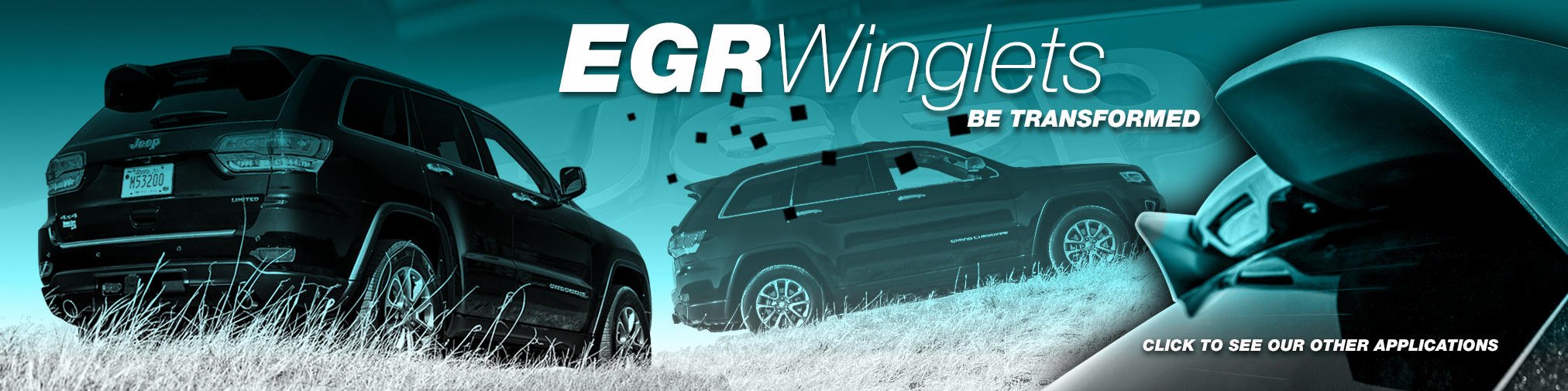 EGR Winglets